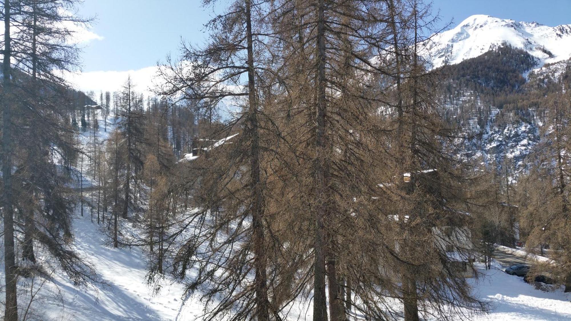 Le Lodge Des Marmottes - Calme, Cosy, Vue Nature Les Orres Exterior foto
